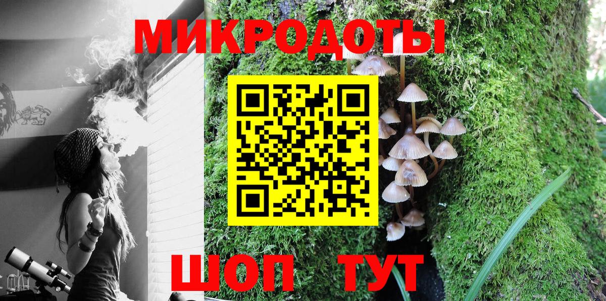 Гатчина  Галлюциногенные грибы ЛСД  Вход с VPN 